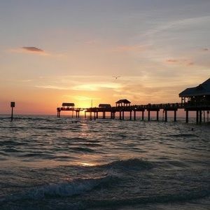 Meet your Posher, Peyton